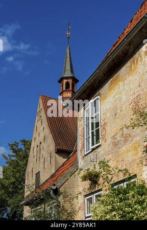 Blick auf das Kloster St. Johannis in Schleswig, Deutschland, Europa Stockfoto