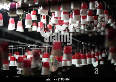 Indonesische Flaggenwänze Stockfoto