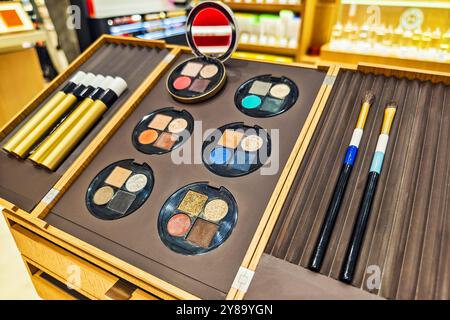 Professionelle Schminkpalette. Make-up-Pinsel und Lidschatten. Kosmetik für Damen Make-up. Blick von oben. Produktkonzept für die Damenschönheit A Stockfoto