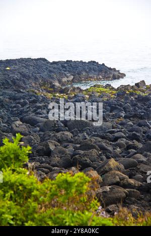 Aussichtspunkt Seongsan Ilchulbong, Insel Jeju, Südkorea. Stockfoto