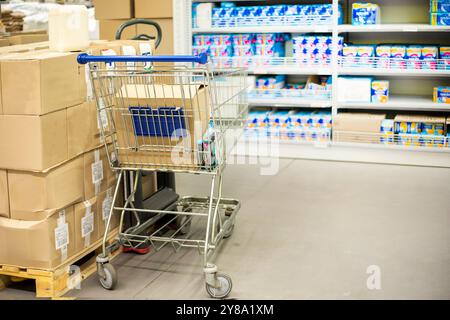 Wagen mit gefüllten Produkten und Hygieneprodukten. Familieneinkäufe in einem Supermarkt Stockfoto