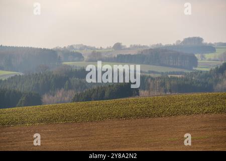 The Battle of the Bulge, Panzerschlachtstätte in Clervaux, Luxemburg. Eröffnet eine Route nach Bastogne Stockfoto