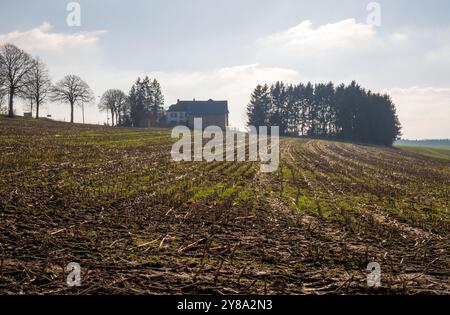 The Battle of the Bulge, Panzerschlachtstätte in Clervaux, Luxemburg. Eröffnet eine Route nach Bastogne Stockfoto