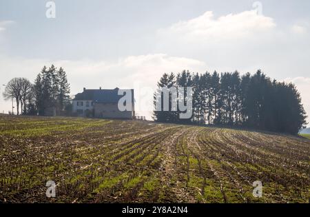 The Battle of the Bulge, Panzerschlachtstätte in Clervaux, Luxemburg. Eröffnet eine Route nach Bastogne Stockfoto