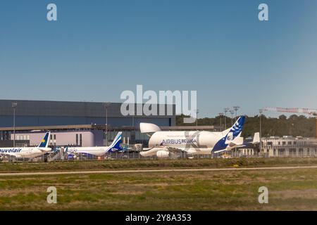 Der Airbus Beluga XL ist ein großes Transportflugzeug, das auf dem Airbus A330-200F basiert, das von Airbus gebaut wurde und sehr große Flugzeugkomponenten wie zum Beispiel transportiert Stockfoto