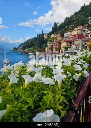 Ein Blick auf Blumen und farbenfrohe Häuser in der charmanten Stadt Varenna - Comer See, Italien Stockfoto