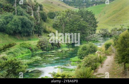 Wunderschöner Blauer Frühling. Te Waihou Walkway. Waikato. Neuseeland. Stockfoto