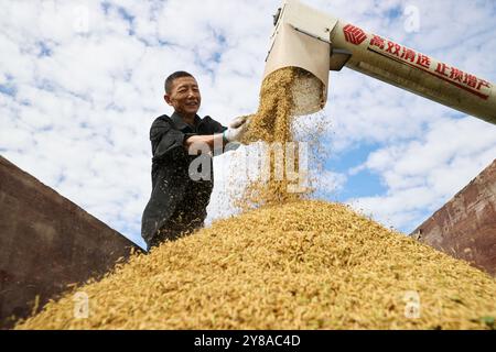 Peking, Chinas Provinz Zhejiang. Oktober 2024. Ein Landwirt überprüft frisch geernteten Reis im Dorf Shangqiang im Bezirk Wuxing in der Stadt Huzhou, ostchinesische Provinz Zhejiang, 4. Oktober 2024. Quelle: He Weiwei/Xinhua/Alamy Live News Stockfoto