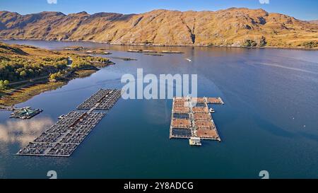 Loch Ailort Lochaber Scotland Reihen von Buchten in einer Fischzucht am oberen Ende des Loch weit vom offenen Meer Stockfoto