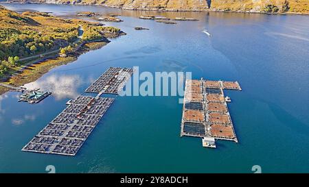 Loch Ailort Lochaber Schottland Reihen von Buchten in einer Fischfarm am oberen Ende des Loch Stockfoto