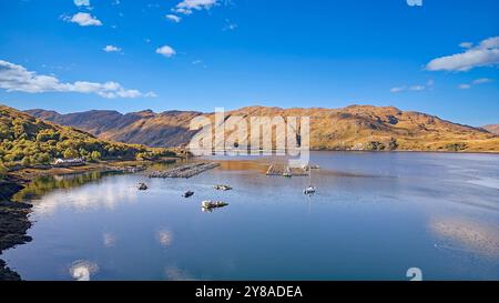 Loch Ailort Lochaber Schottland Buchten in einer Lachsfischfarm und die Service Boote am oberen Ende des Loch im Spätsommer Stockfoto