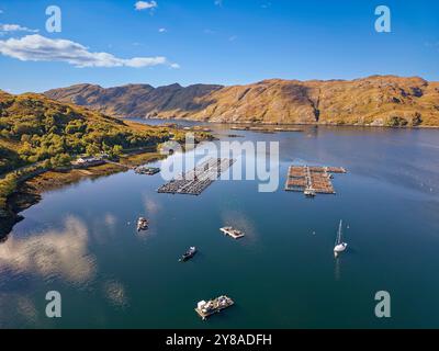 Loch Ailort Lochaber Scotland die Reihen von Buchten in einer Lachsfischzucht am oberen Ende des Loch weit vom offenen Meer entfernt Stockfoto