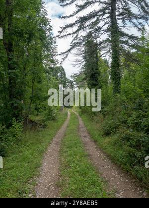 Ostserbiens Berg Rtanj, Boljevac, touristische Sehenswürdigkeiten, Staza zdravlja Stockfoto