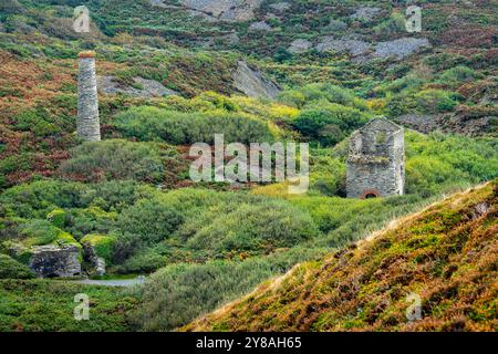 Trevellas Blue Hills Tin Mine, ein ehemaliger Zinnbergbau in der Nähe von St. Agnes in Cornwall, England Stockfoto