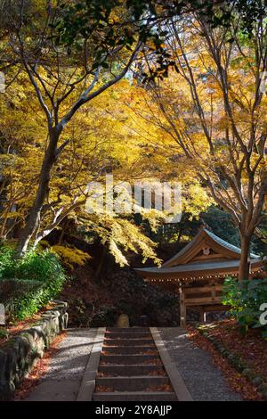 ARIMA Onsen Tansan Sengen Park im Herbst in Kobe, Japan Stockfoto