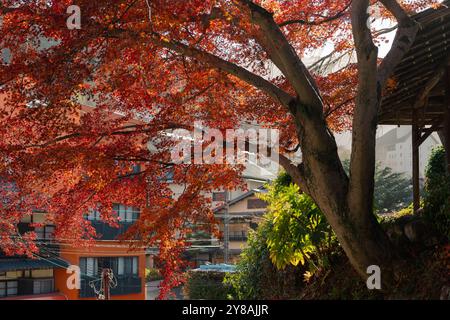 Herbst von Arima Onsen Thermaldorf in Kobe, Japan Stockfoto