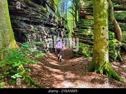 Tourist in der Schlucht Gruene Hoelle aus rotem Sandstein im Sauerschweiz bei Bollendorf, Deutschland, Rheinland-Pfalz, Naturpark Suedeifel, Irre Stockfoto