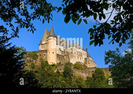 Schloss Vianden, Luxemburg, Kanton Vianden, Vianden Stockfoto