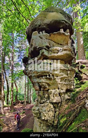 Felsbrocken in einer imposanten Felsenlandschaft in einem natürlichen Wald, Luxemburgs kleine Schweiz, Luxemburg, kleine Luxemburgische Schweiz, Müllerthal Stockfoto