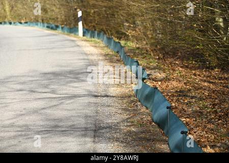 Fangzäune für Kröten auf einer Straße in Scharbeutz, Schleswig-Holstein, Deutschland, Fangzäune für Erdkröten an einer Straße in Scharbeutz, Deutschland Stockfoto