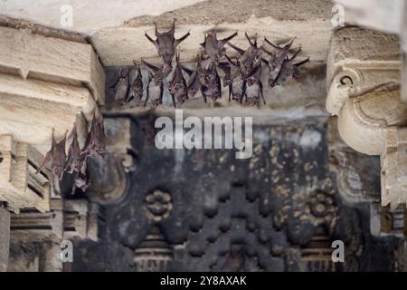 In der Mitte des historischen Adalaj Steppbrunnen bei Ahmedabad. Wunderschöne Dekoration des nationalen Erbes. Stockfoto