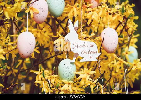 Osterhasen-Anhänger mit der Aufschrift Frohe Ostern an einem Forsythienstrauch mit Ostereiern, Osterhasen-Anhänger mit Aufschrift frohe Ostern an einem Stockfoto