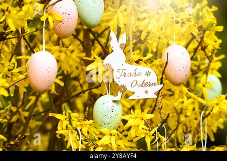 Osterhasen-Anhänger mit der Aufschrift Frohe Ostern an einem Forsythienstrauch mit Ostereiern, Osterhasen-Anhänger mit Aufschrift frohe Ostern an einem Stockfoto