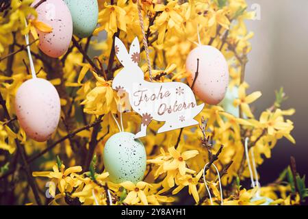 Osterhasen-Anhänger mit der Aufschrift Frohe Ostern an einem Forsythienstrauch mit Ostereiern, Osterhasen-Anhänger mit Aufschrift frohe Ostern an einem Stockfoto