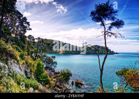 Abel Tasman National Park, South Island, Neuseeland - Wildnisreservat berühmt für seine Küstenlandschaft, sein klares Wasser, seine Sandstrände und seinen einheimischen Busch Stockfoto