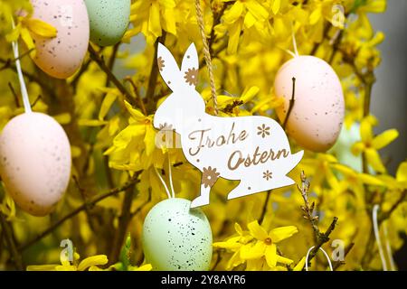 Osterhasen-Anhänger mit der Aufschrift Frohe Ostern an einem Forsythienstrauch mit Ostereiern, Osterhasen-Anhänger mit Aufschrift frohe Ostern an einem Stockfoto