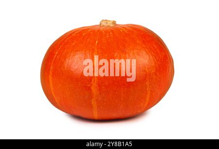 Dieser leuchtend orange Kürbis besticht durch seine glatte Haut und seine abgerundete Form, ideal für Halloween-Dekorationen und Thanksgiving-Gerichte. Stockfoto