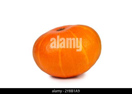 Dieser leuchtend orange Kürbis besticht durch seine glatte Haut und seine abgerundete Form, ideal für Halloween-Dekorationen und Thanksgiving-Gerichte. Stockfoto