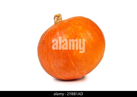 Dieser leuchtend orange Kürbis besticht durch seine glatte Haut und seine abgerundete Form, ideal für Halloween-Dekorationen und Thanksgiving-Gerichte. Stockfoto