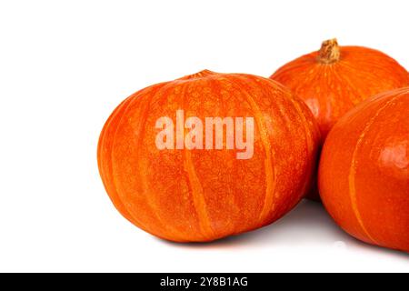 Dieser leuchtend orange Kürbis besticht durch seine glatte Haut und seine abgerundete Form, ideal für Halloween-Dekorationen und Thanksgiving-Gerichte. Stockfoto