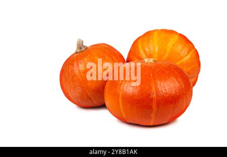 Dieser leuchtend orange Kürbis besticht durch seine glatte Haut und seine abgerundete Form, ideal für Halloween-Dekorationen und Thanksgiving-Gerichte. Stockfoto