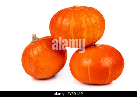 Dieser leuchtend orange Kürbis besticht durch seine glatte Haut und seine abgerundete Form, ideal für Halloween-Dekorationen und Thanksgiving-Gerichte. Stockfoto