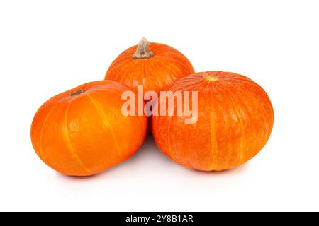 Dieser leuchtend orange Kürbis besticht durch seine glatte Haut und seine abgerundete Form, ideal für Halloween-Dekorationen und Thanksgiving-Gerichte. Stockfoto