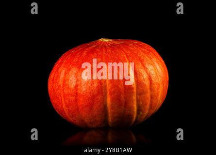 Dieser leuchtend orange Kürbis besticht durch seine glatte Haut und seine abgerundete Form, ideal für Halloween-Dekorationen und Thanksgiving-Gerichte. Stockfoto