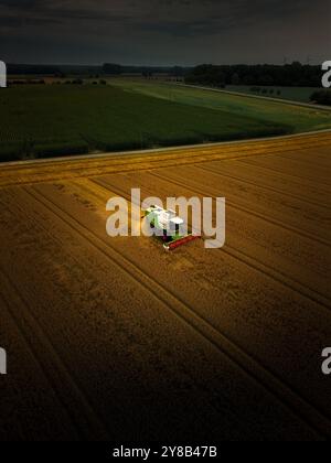 Luftaufnahme eines Ernteers in einem goldenen Weizenfeld, mit umliegenden grünen Feldern und entfernten Windturbinen unter bewölktem Himmel in Münster. Stockfoto