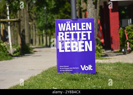 Wahlkampf zur Europawahl der Partei VOLT in Bergedorf, Hamburg, Wahlwerbung zur Europawahl der Partei VOLT in Bergedorf Stockfoto