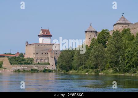 Das alte Herman Castle und die Ivangorod Festung am Fluss Narva an einem sonnigen Julitag. Die Grenze zwischen Russland und Estland Stockfoto