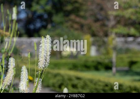 Dunvegan Castle & Gardens - MacLeod Estate, Dunvegan House, Dunvegan, Isle of Skye, Schottland, UK Stockfoto