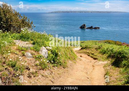 Küstenpfad mit Wildblumen im Sommer an der Südostküste der Insel Herm, Guernsey, Kanalinseln, Großbritannien, Europa. Sark in der Ferne Stockfoto