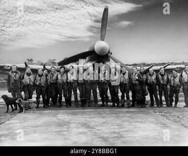 Ein Hawker Typhoon und Piloten der 198er Squadorn, Manston, Kent, England. Es war ein britischer einsitziger Jagdbomber, der als Ersatz für den Hawker Hurricane in mittlerer Höhe vorgesehen war. Doch als die Luftwaffe 1941 die neue Focke-Wulf FW 190 in Dienst stellte, war der Taifun der einzige RAF-Jäger, der sie in niedrigen Höhen fangen konnte, wodurch er eine neue Rolle als Abfangjäger in niedriger Höhe erhielt. Der Taifun wurde ein nächtlicher Eindringling und Langstreckenjäger und wurde mit verstärkter Bewaffnung zu einem der erfolgreichsten Bodenangriffsflugzeuge des Zweiten Weltkriegs. Stockfoto