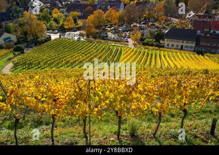 Blick durch die Weinberge hinunter zum kleinen Weindorf Staufen im Breisgau bei Freiburg mit den Weinbergen in wunderschönen Herbstfarben Stockfoto