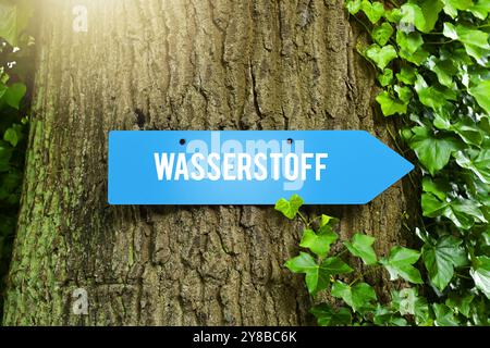 FOTOMONTAGE, Wegweiser Wasserstoff, FOTOMONTAGE, Wegweiser Wasserstoff Stockfoto