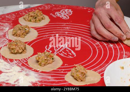 Asiatisch, Chinesisch macht Knödel, Wonton, hausgemachte chinesische Ravioli kochen Stockfoto