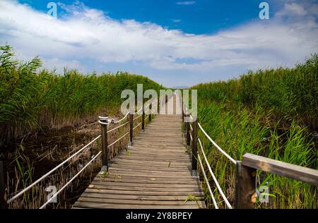 Wooden Suspension Bridge Road auf dem Reedbed Stockfoto