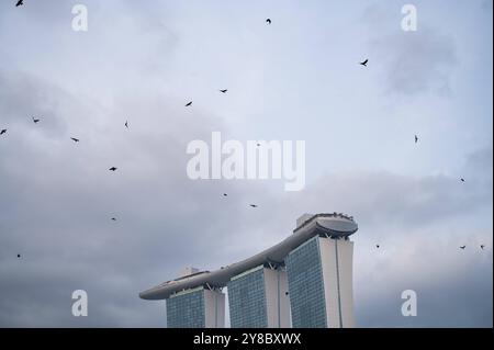 29.07.2023, Singapur, Republik Singapur, Asien - Kraehen fliegen ueber das Marina Bay Sands Hotel mit seinen drei Tuermen und seiner geschwungenen Dachterrasse. *** 29 07 2023, Singapur, Republik Singapur, Asia Crows fliegen über das Marina Bay Sands Hotel mit seinen drei Türmen und geschwungener Dachterrasse Stockfoto