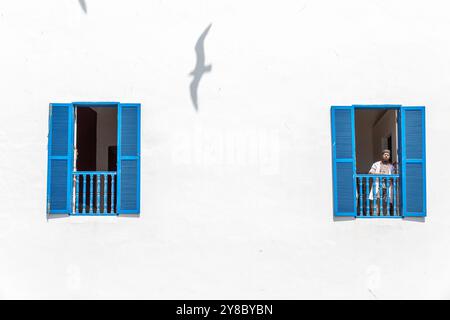 Fenster mit blauen Fensterläden an einer weißen Wand, auf die der Schatten einer im Flug befindlichen Möwe projiziert wird. Eine Person, die an einem der Fenster steht Stockfoto